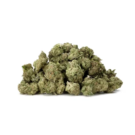 buy gorilla glue strain online buy gorilla glue strain, gorilla glue strain buy online, buy alien gorilla glue strain seeds online, buy gorilla glue 4 strain, buy gorilla glue 4 strain seeds online, buy gorilla glue 4 x zkittles strain seeds online, buy gorilla glue lemon strain seeds online, gorilla glue strain buy, where to buy gorilla glue strain,gorilla glue strain for sale, gorilla glue 4 strain seeds for sale, gorilla glue strain seeds for sale,gorilla glue strain, gorilla glue 4 strain, gorilla glue #4 strain, which gorilla glue strain is the strongest, gorilla glue weed strain, weed strain gorilla glue, gorilla glue strain purple gorilla glue strain, what strain is gorilla glue, gorilla glue 5 strain, how many gorilla glue strains are there, gorilla glue #5 strain, gorilla glue strains list, gorilla glue marijuana strain, alien gorilla glue strain, gorilla glue #4 strain allbud, gorilla glue 2 strain, gorilla glue gelato strain, gorilla glue strain photos, gorilla glue strains, gorilla.glue strain, grape gorilla glue strain, gelato gorilla glue strain, gorilla glue 6 strain, gorilla glue number 4 strain, gorilla glue strain effects, gorilla glue strain smell, outdoor gorilla glue strain, gorilla glue #4 strain grow info, gorilla glue 1 strain, gorilla glue 4 strain indica or sativa, gorilla glue auto strain, gorilla glue outlaw strain, gorilla glue strain near me, gorilla glue strain review, platinum gorilla glue strain, super gorilla glue weed strain, gorilla glue 3 strain, gorilla glue cannabis strain, gorilla glue lemon strain, gorilla glue strain gorilla glue strain grow info, gorilla glue strain info, gorilla glue strain of weed, gorilla glue strain yield, is gorilla glue strain a sativa or indica, marijuana strain gorilla glue, buy gorilla glue strain online, gorilla glue #3 strain, gorilla glue 4 strain allbud,gorilla glue strain for sleep gorilla glue strain for headaches, gorilla glue strain for pain, gorilla glue strain for sale, what is gorilla glue strain good for, gorilla glue strain for cancer, gorilla glue 4 strain seeds for sale, gorilla glue for strain, gorilla glue strain for movies, gorilla glue strain for moxy, gorilla glue strain good for anxiety, gorilla glue strain is good for, gorilla glue strain number for, gorilla glue strain seeds for sale, is gorilla glue strain good for anxiety, new name for gorilla glue strain, temps for gorilla glue strain,