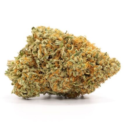 afghan kush marijuana strain, afghan kush medical marijuana strain, marijuana strain afghan kush, marijuana strains afghan kush, purple afghan kush marijuana strain